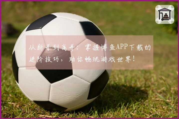 从新手到高手：掌握博鱼APP下载的进阶技巧，助你畅玩游戏世界！