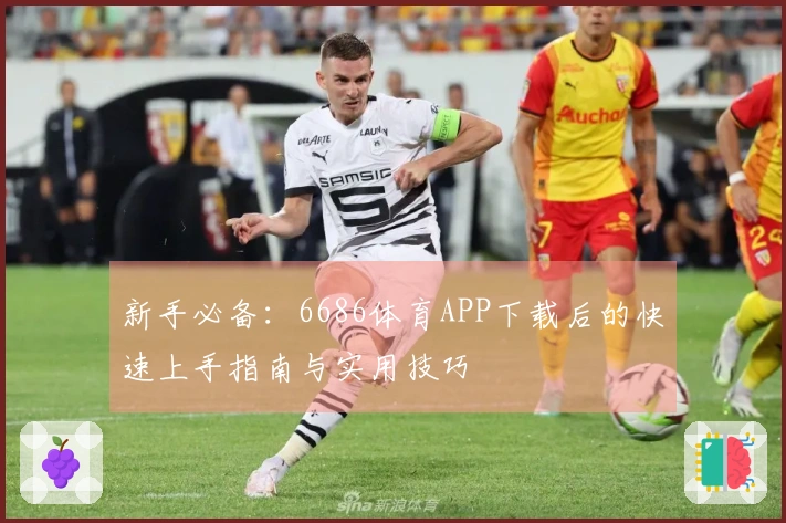 新手必备：6686体育APP下载后的快速上手指南与实用技巧